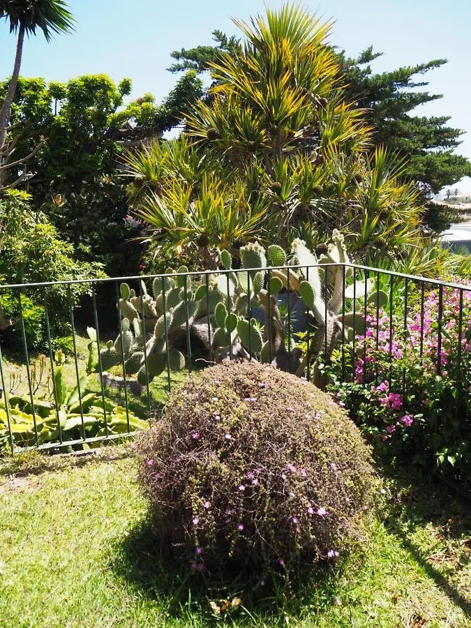 Villa Do Sol 卡尼索 0*,  葡萄牙